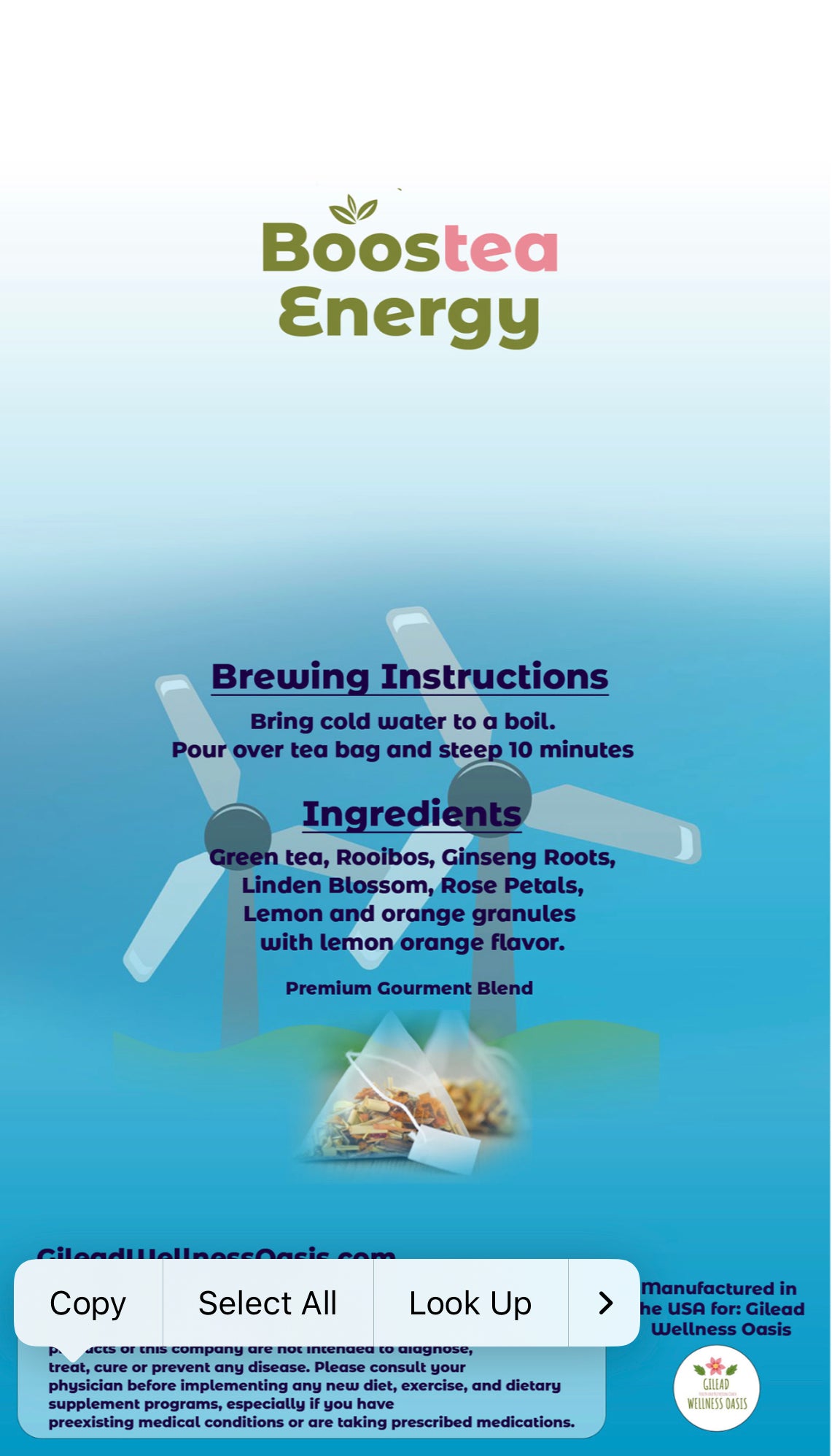 Boostea Energy